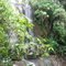 Cachoeira dos Búfalos