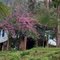 Casarão e Primavera