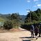 Travessia Pinda-Campos do Jordão - Bem vindo à APA Mantiqueira