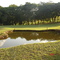 Itapeva Golfe Clube
