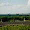 Cidade de Monte Alto, vista da SP-333