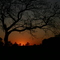 Nascer do sol na fazenda