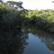 Rio Alambari