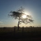 por do sol