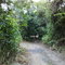 Caminho do rancho- rio Jacaré - Gavião Peixoto
