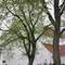 Dalby Church, Sweden