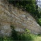 Cedar Hill Austin Chalk