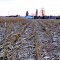«Assez récolté pour aujourd'hui.» / «Enough harvesting for today.»