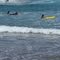 Cachagua Surf