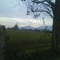 campo montino