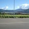 Bodegas Veramonte - Casablanca - Chile