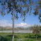 Campo del Luis Campino en Lampa Oct '04