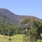 De árbol en árbol haciendo canopy, Termas Huife, Pucón, Chile.