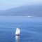 Velero en las cercanías de Papudo