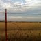 Farm Land, Slidell, TX