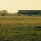 Green Pasture