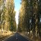 Perspectiva, Miraflores, Rancagua