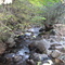 Estero en sector pic-nic, Yerba Loca (R. Metropolitana-Chile)