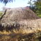 Ruca