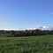 Campos De Temuco, Boyeco