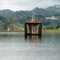 Torre
