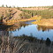 Downriver Island near Trailtown Stables