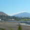 Jardines del Sur