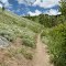 Trail 125