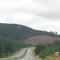 Autopista al Sur de Chile