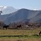 Paisaje precordillerano