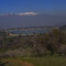 Laguna del Flaite, La Dehesa