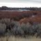 The Snake River just north of Ferry Butte