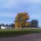 Autumn in Moreland