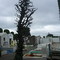 Cemetery