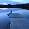 Red Fish Lake