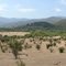 Valle de "Los Perales"