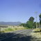 Camino