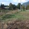 Vendo Parcela 5.400 sector Polincay $ 8,5 Millones