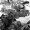925-04 Salinas de Pullally - Chile