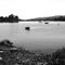 fondo de caleta amargos