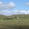 Chile. Estancia en Tierra del Fuego