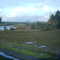 Vista desde el Complejo Educacional La Granja hacia el río Cautín