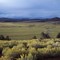 Hatch Ranch