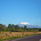 Volcan Osorno