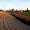 Estadio Municipal de La Pintana