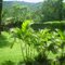 Nosso Quintal.
