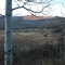 Fall meadow.