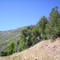 Highway 40