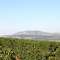 Serra de Três Pontas