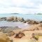 PORTO DE SUAPE - PERNAMBUCO - BRASIL